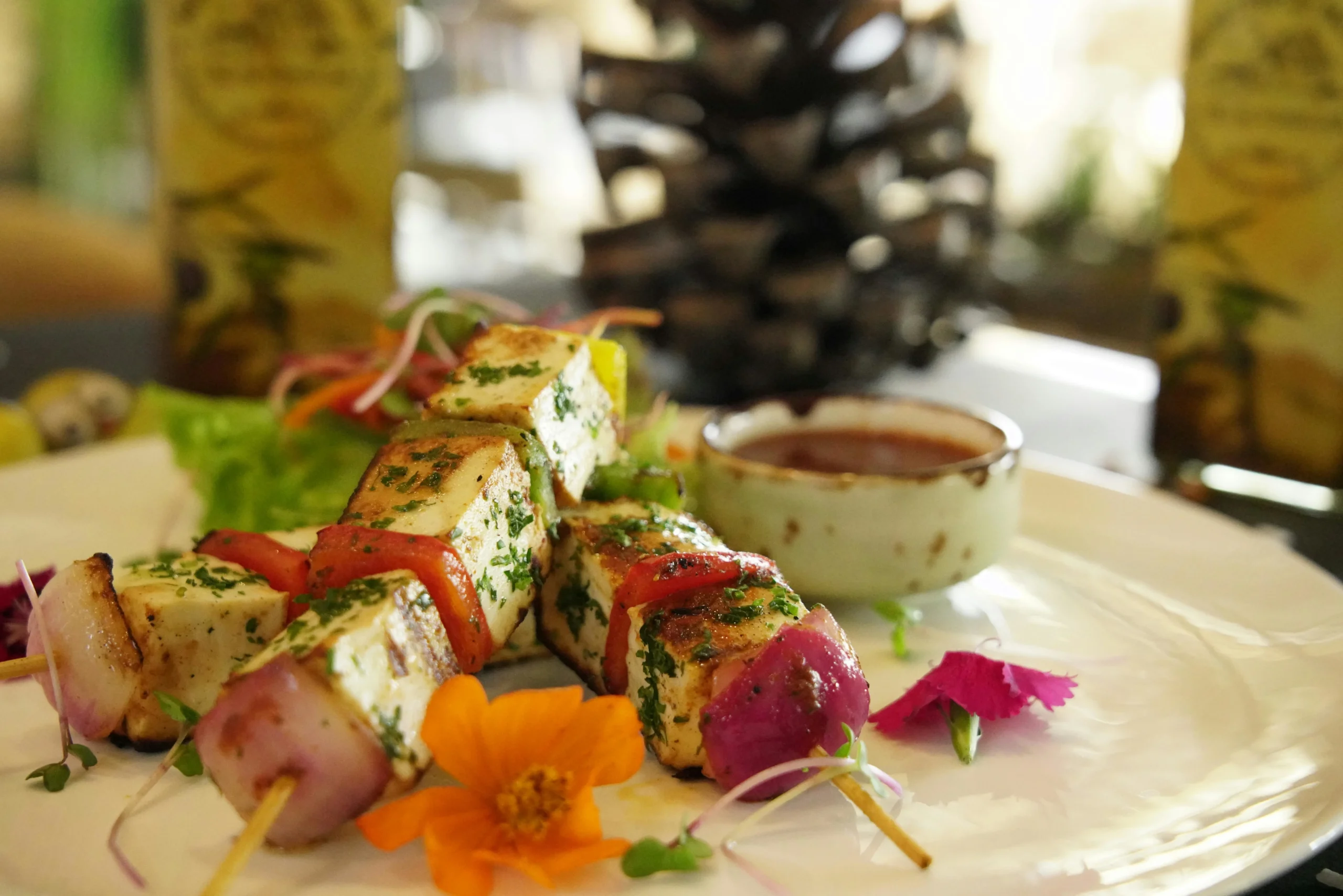 Paneer Kabab 4